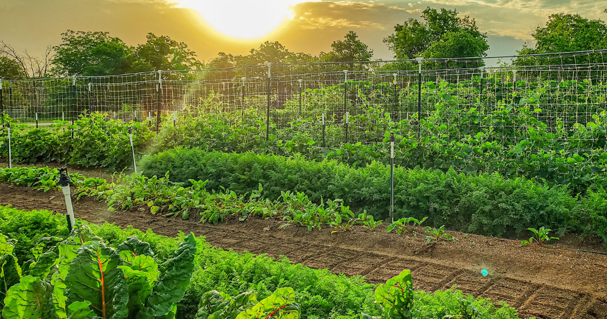 Restoration Fields Farm photo 4