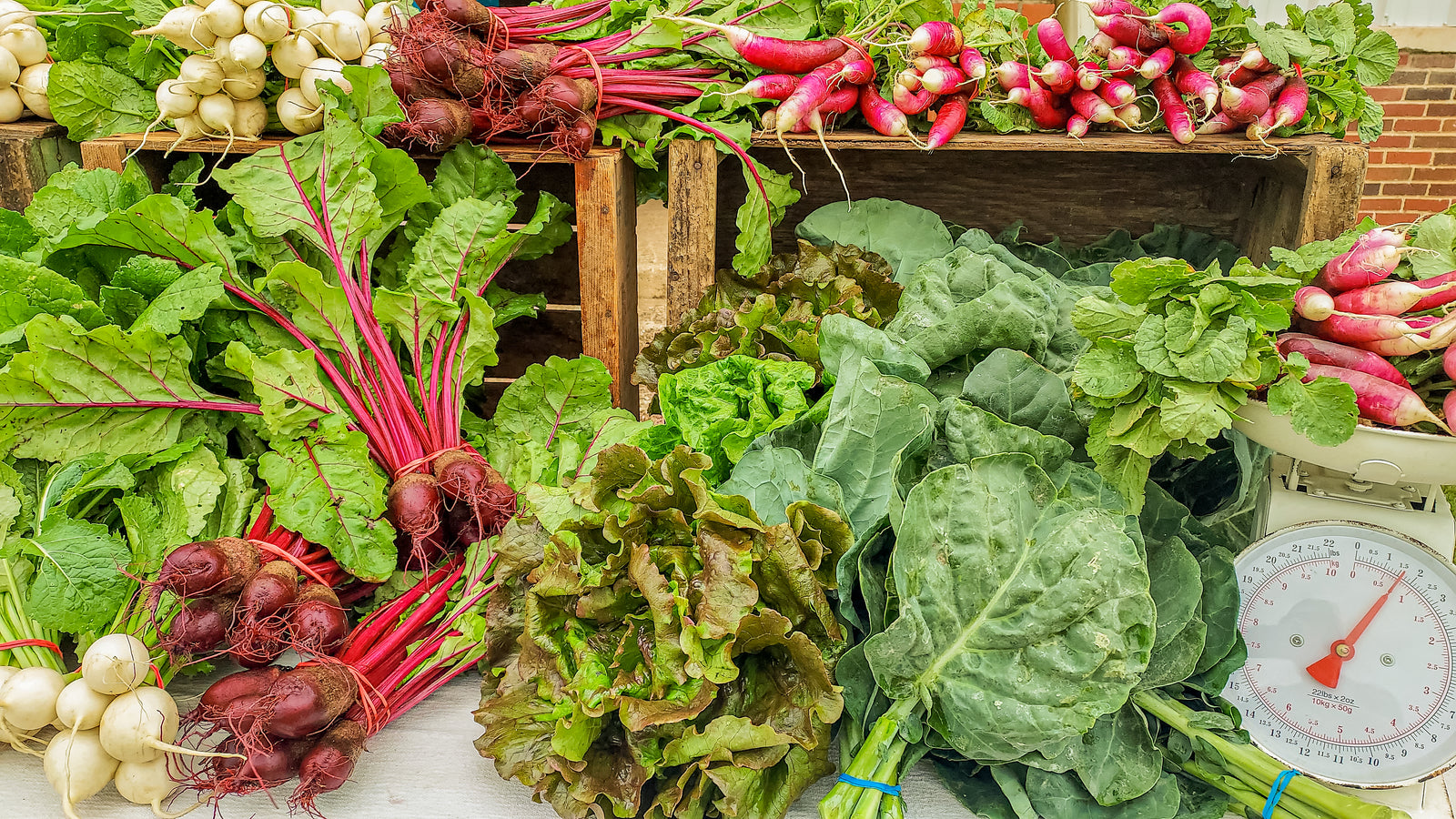 Restoration Fields Farm photo 6