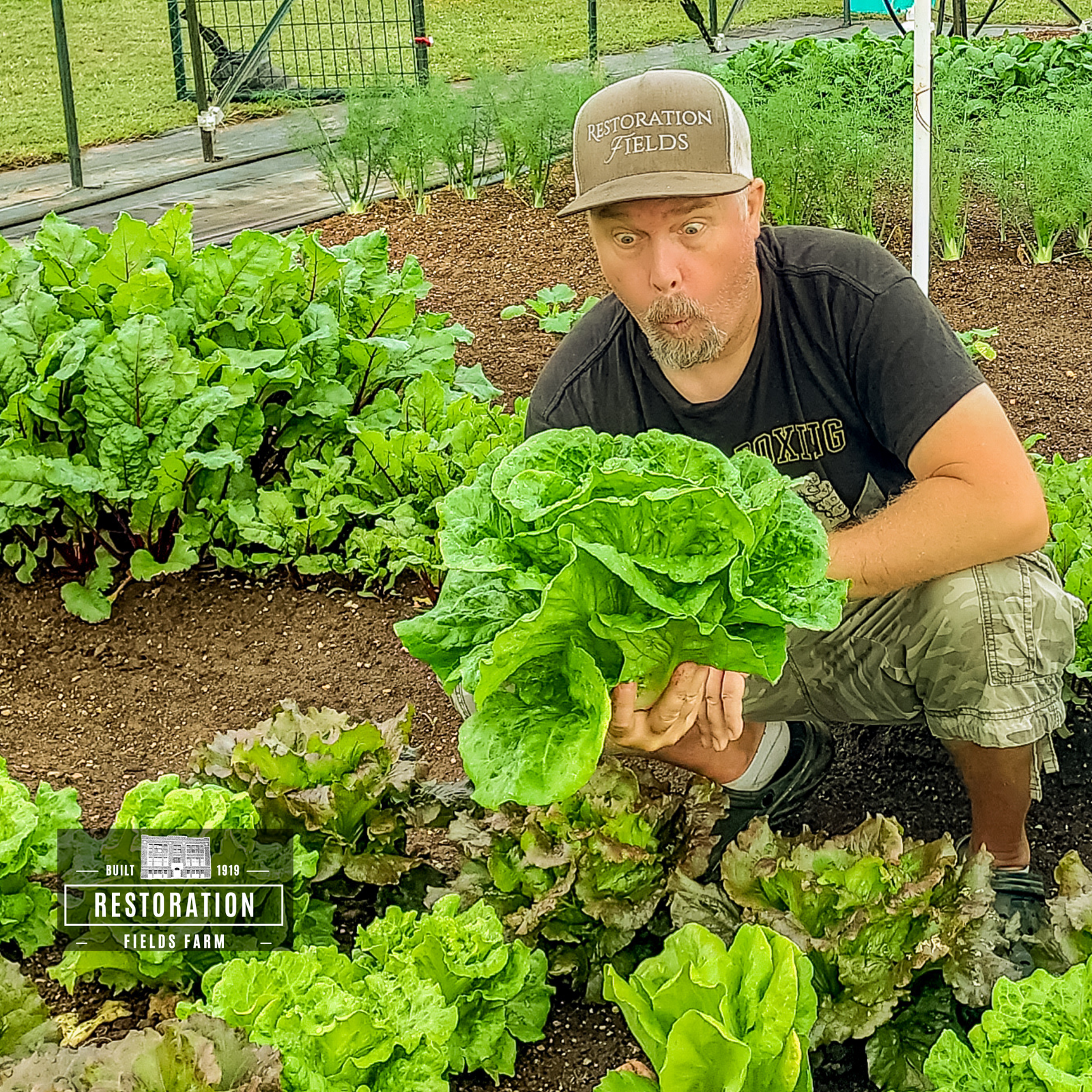 Restoration Fields Farm photo 7